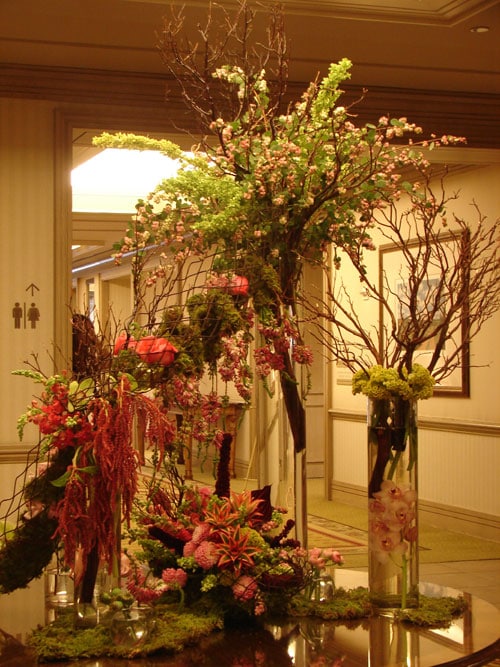 Weekly Flowers Dallas Delivery & Install Dr Delphinium